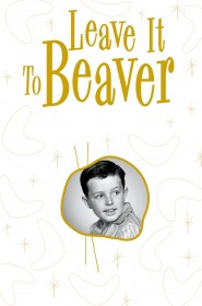 Série Leave It to Beaver en streaming