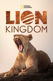 Série Lion Kingdom en streaming