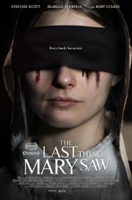 Série The Last Thing Mary Saw en streaming