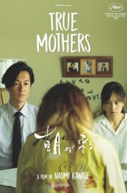 Série True Mothers en streaming