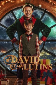 Série David et les lutins en streaming