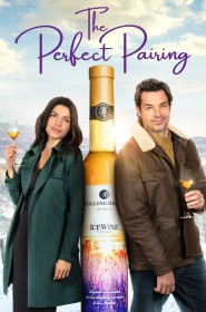 Série The Perfect Pairing en streaming