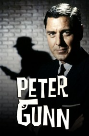 Série Peter Gunn en streaming