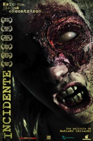 Série Incident en streaming