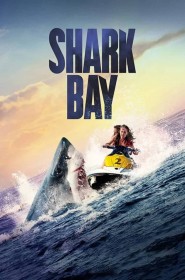 Série Shark Bay en streaming