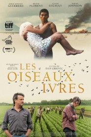 Série Les oiseaux ivres en streaming