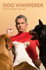 Série Dog Whisperer en streaming