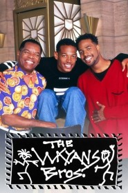 Série Les frères Wayans en streaming