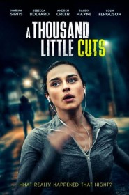 Série A Thousand Little Cuts en streaming