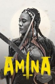 Série Amina en streaming